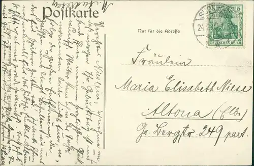 Ansichtskarte Bad Suderode Villen - Stadtpartie 1907