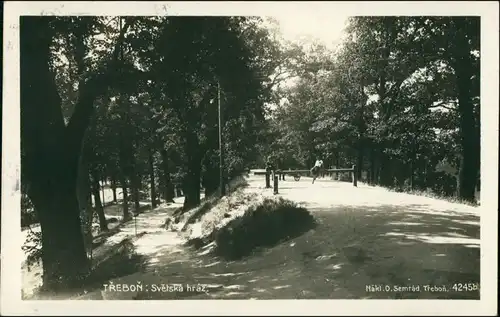 Postcard Třeboň Parkpartie - Weg 1930