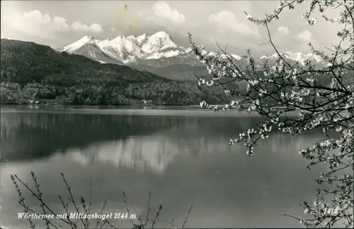 Ansichtskarte Reifnitz Wörthersee mit Alpen Panorama, Berg Mittagskogel 1962