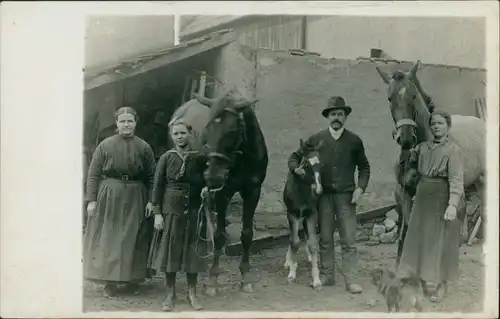 Familienfoto Privataufnahme Pferden, Fohlen, Familie Bauernhof 1910 Privatfoto