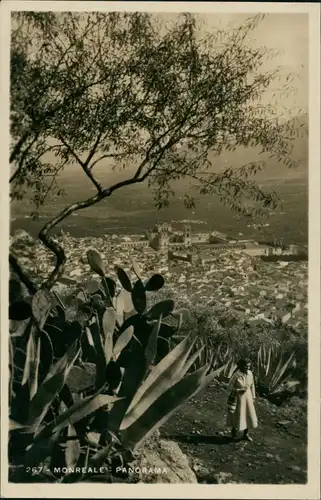 Cartoline Monreale Fauna / Pflanzen Kaktus Panorama Monreale 1940