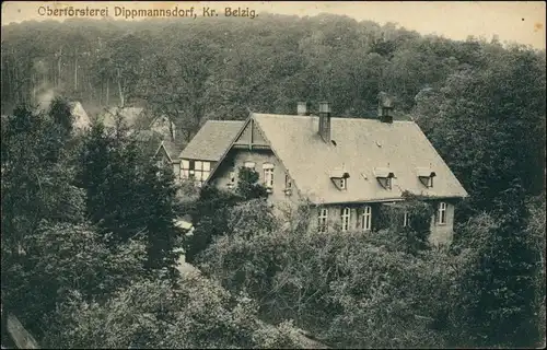 Ansichtskarte Dippmannsdorf-Bad Belzig Oberförsterei 1912
