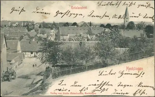 Ansichtskarte Hecklingen (Salzlandkreis) Straßenpartie 1911