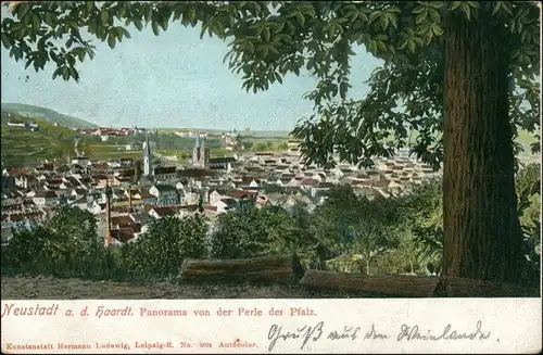 Haardt Weinstraße Neustadt an der Haardt Blick auf die Stadt 1904