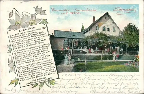 Ansichtskarte Todenmann-Rinteln Restauration v. F.Reese 1908