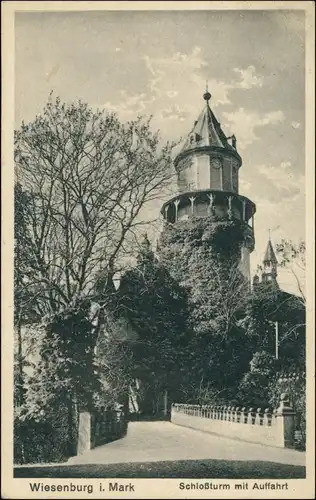 Ansichtskarte Wiesenburg/Mark Schloss Wiesenburg Auffahrt 1924