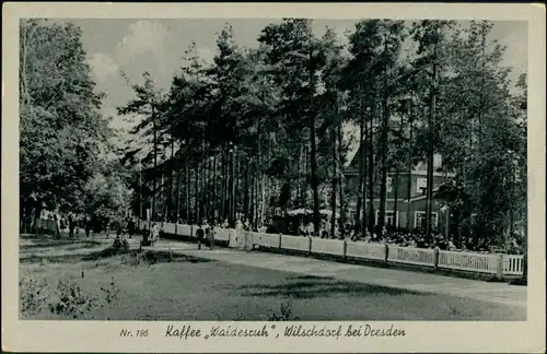 Ansichtskarte Wilschdorf-Dresden Kaffee Waldfrieden 1952