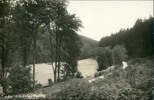 Ansichtskarte Neuhaus im Solling-Holzminden Umlandpartie - Weg 1923
