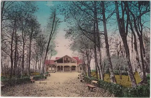 Stryj Стрий Park Olszyna Ukraine Postcard Asichtskarte - Villa 1912