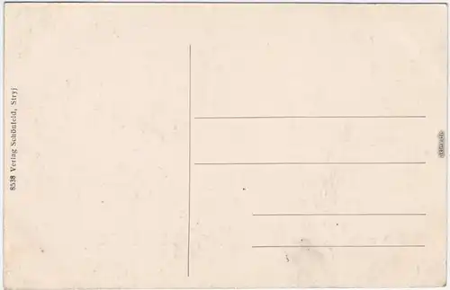 Stryj Стрий Park Olszyna Ukraine Postcard Asichtskarte - Villa 1912