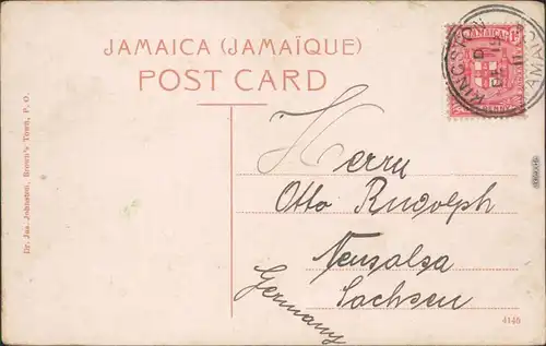 Postcard Kingston Straßenpartie - Royal Palms 1915