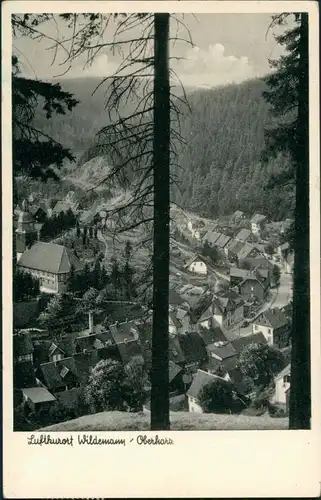 Wildemann (Innerstetal) Panorama-Ansicht Blick zur Ortsmitte 1952