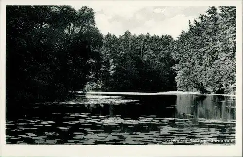 Postcard Misdroy Międzyzdroje Wasserrosen Jordansee 1930