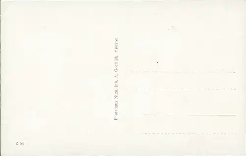 Postcard Misdroy Międzyzdroje Wasserrosen Jordansee 1930