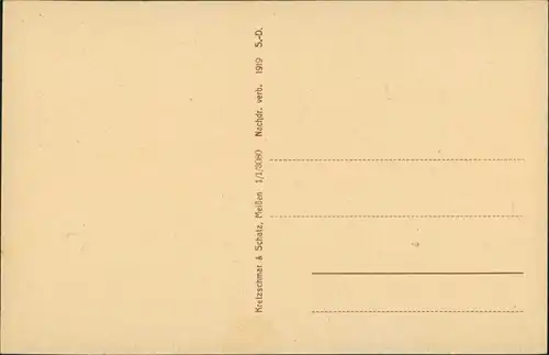 Ansichtskarte Freiberg (Sachsen) Blick in den Albertpark 1915