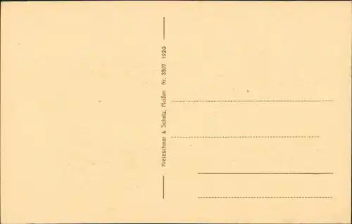 Ansichtskarte Freiberg (Sachsen) Donatgasse Donatsturm 1915