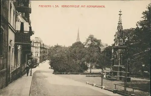 Ansichtskarte Freiberg (Sachsen) Hornstrasse 1918
