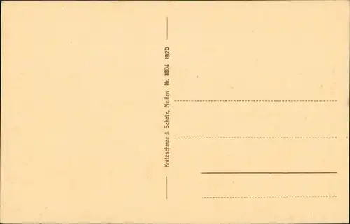 Ansichtskarte Freiberg (Sachsen) Schwedendenkmal - Straße 1920