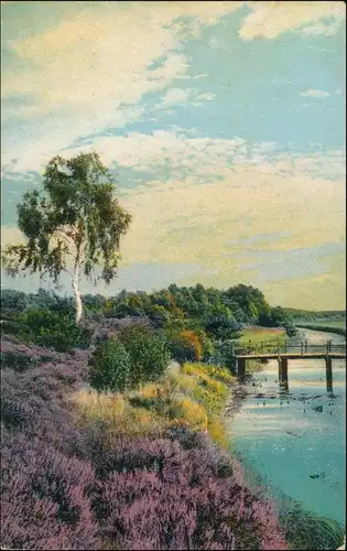 Ansichtskarte Waldenburg (Sachsen) Fluss - Blühende Heidelandschaft 1916