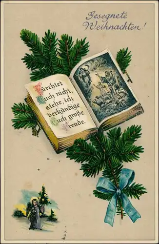 Ansichtskarte  Weihnachten: Tannenzweig Bibel 1916