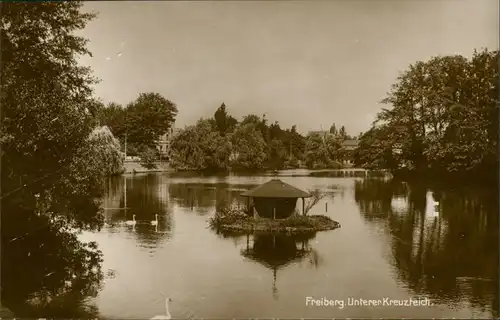 Ansichtskarte Freiberg (Sachsen) Unterer Kreuzteich 1928