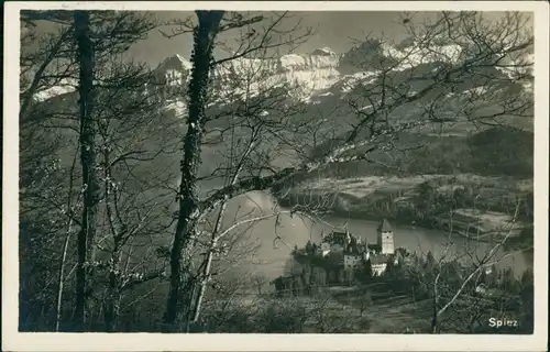 Ansichtskarte Spiez Panorama-Ansicht Vogelschau-Perspektive 1925