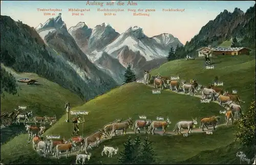 Ansichtskarte  Aufzug auf die Alm, Tiere, Kuh Kühe mit Namen 1910