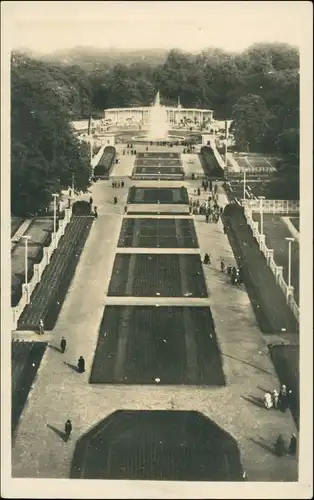 Dresden Gartenbau-Ausstellung Blick vom Grünen Dom - Rosenhof 1926