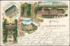 Ansichtskarte Litho AK Celle Bahnhofs-Hotel, Nahrungsmittelfabriken 1901