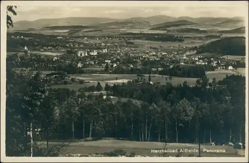 Postcard Bad Altheide Polanica-Zdrój Blick auf die Stadt 1931