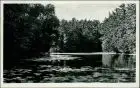 Postcard Misdroy Międzyzdroje Jordansee - Seerosen 1932