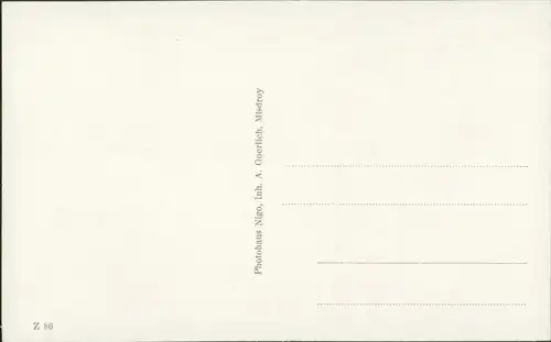 Postcard Misdroy Międzyzdroje Jordansee - Seerosen 1932