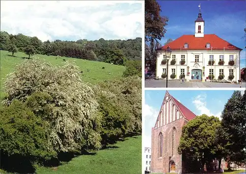 Angermünde Landschaft bei Altkünkendorf, Rathaus, Franziskaner-Kloster 2000