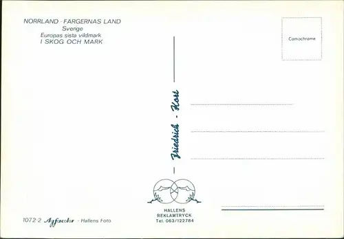 Ulfö (Västernorrlands Län) NORRLAND FÄRGERNAS LAND Vildmark Mehrbild  Elch 1980