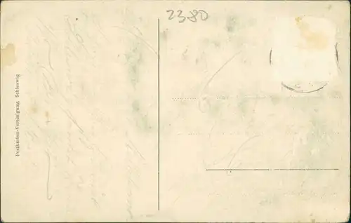 Schleswig (Sleswig/Slesvig) Straßenpartie am Regierungsgebäude 1909