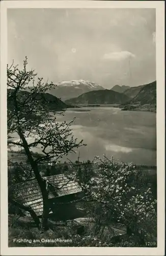 Ossiach Panorama-Ansicht Ossiachersee, Frühling Stimmungsbild 1940