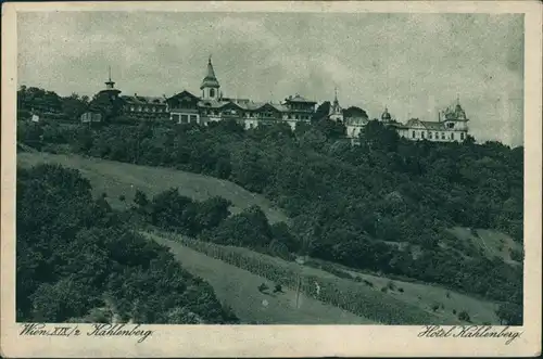 Ansichtskarte Döbling-Wien Partie am Hotel Kahlenberg 1924/1922