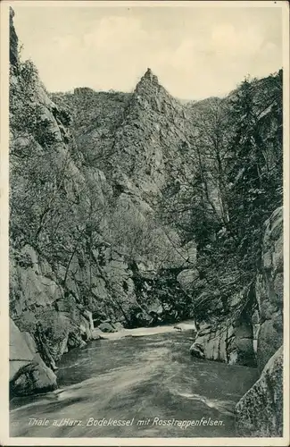 Thale (Harz) Umland-Ansicht Roßtrappenfelsen Bodekessel Fluss River Bode 1940