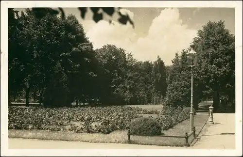 Postcard Danzig Gdańsk/Gduńsk Parkpartie (gel Danzig 1939) 1939