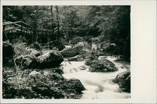 Ansichtskarte Würflach Johannesklamm, Wanderweg 1931