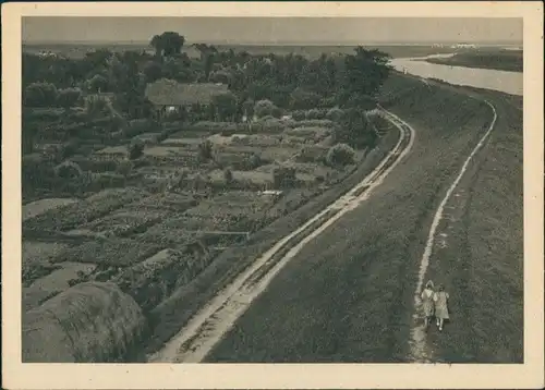 Ansichtskarte Hooksiel-Wangerland Luftbild Deich und Häuser 1930