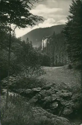 Ansichtskarte Oberschönau Finkenstein im Kanzlersgrund 1959   gelaufen mit Stempel OBERSCHÖNAU