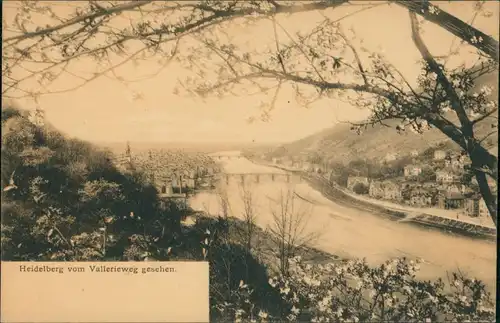 Ansichtskarte Heidelberg Panorama-Ansicht vom Vallerieweg aus gesehen 1904