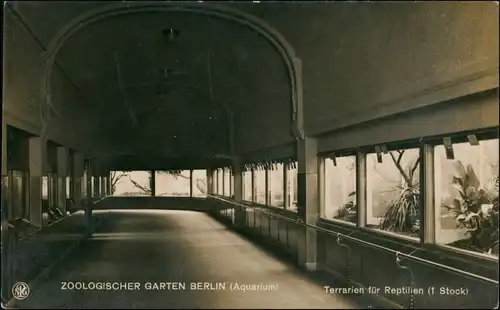 Ansichtskarte Charlottenburg-Berlin Zoo Aquatium Terrarien für Reptilien 1926