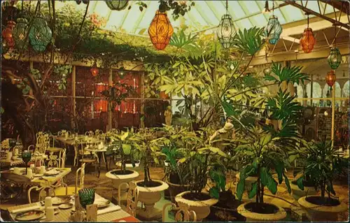 Clearwater (Florida) Patio Room at The KAPOK TREE INN, Botanik, Pflanzen 1960
