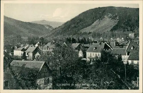 Ansichtskarte Ilsenburg (Harz) Stadtpartie 1929
