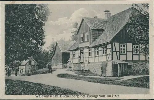 Ansichtskarte Elbingerode-Oberharz am Brocken Waldwirtschaft Büchenberg 1919