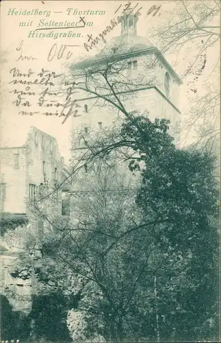 Ansichtskarte Heidelberg Thorturm mit Seltenleer im Hirschgraben 1901