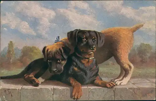 Ansichtskarte  Künstlerkarte Tiere - Hunde Primus-Postkarte 1920