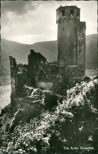 Rüdesheim (Rhein) Burg Ruine Ehrenfels am Rhein (Fluss), Rhine river castle 1955